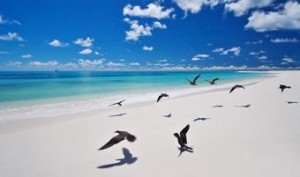 playa-de-bird-island-en-seychelles-300x177