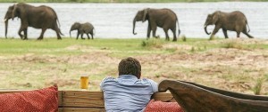 Preciosas vistas desde el alojamiento Ruckomechi Camp en Mana Pools National park Zimbabwe