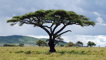 paisaje--viajes-a-africa